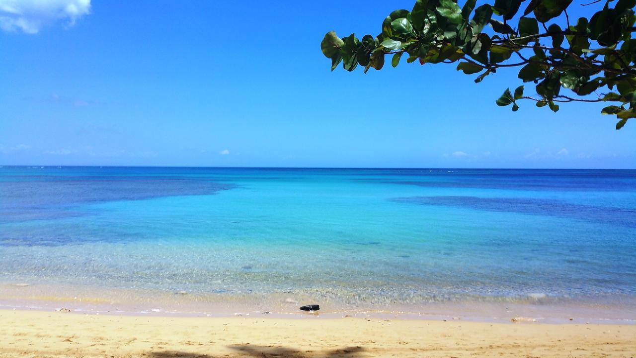 Aligio Apart-Hotel & Spa - Las Terrenas Eksteriør bilde